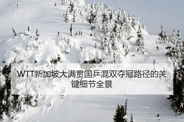 WTT新加坡大满贯国乒混双夺冠路径的关键细节全景